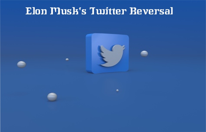 Elon Musk's Twitter