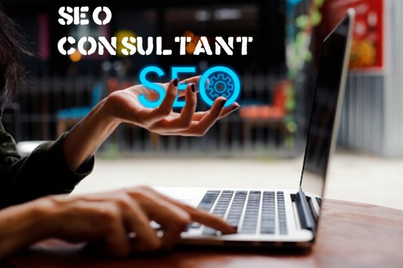 Seo Consultant