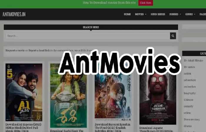 What is Antmovie?