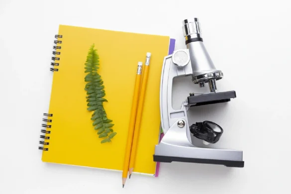 A Complete Guide to IB Biology SL